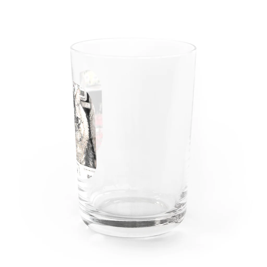 マロマロのMAROchan 入っちゃった Water Glass :right