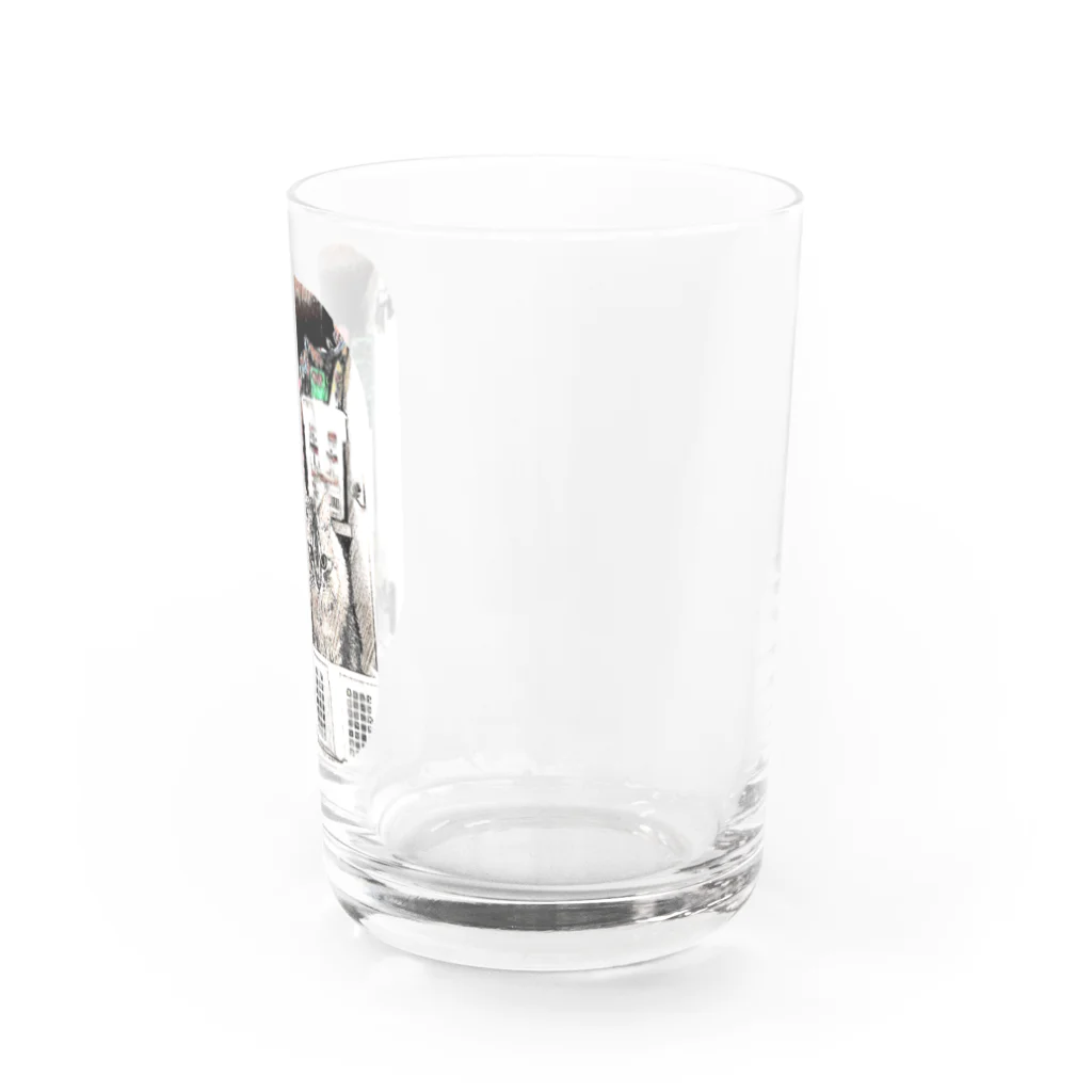 マロマロのMAROchan 入っちゃった(全体バージョン) Water Glass :right