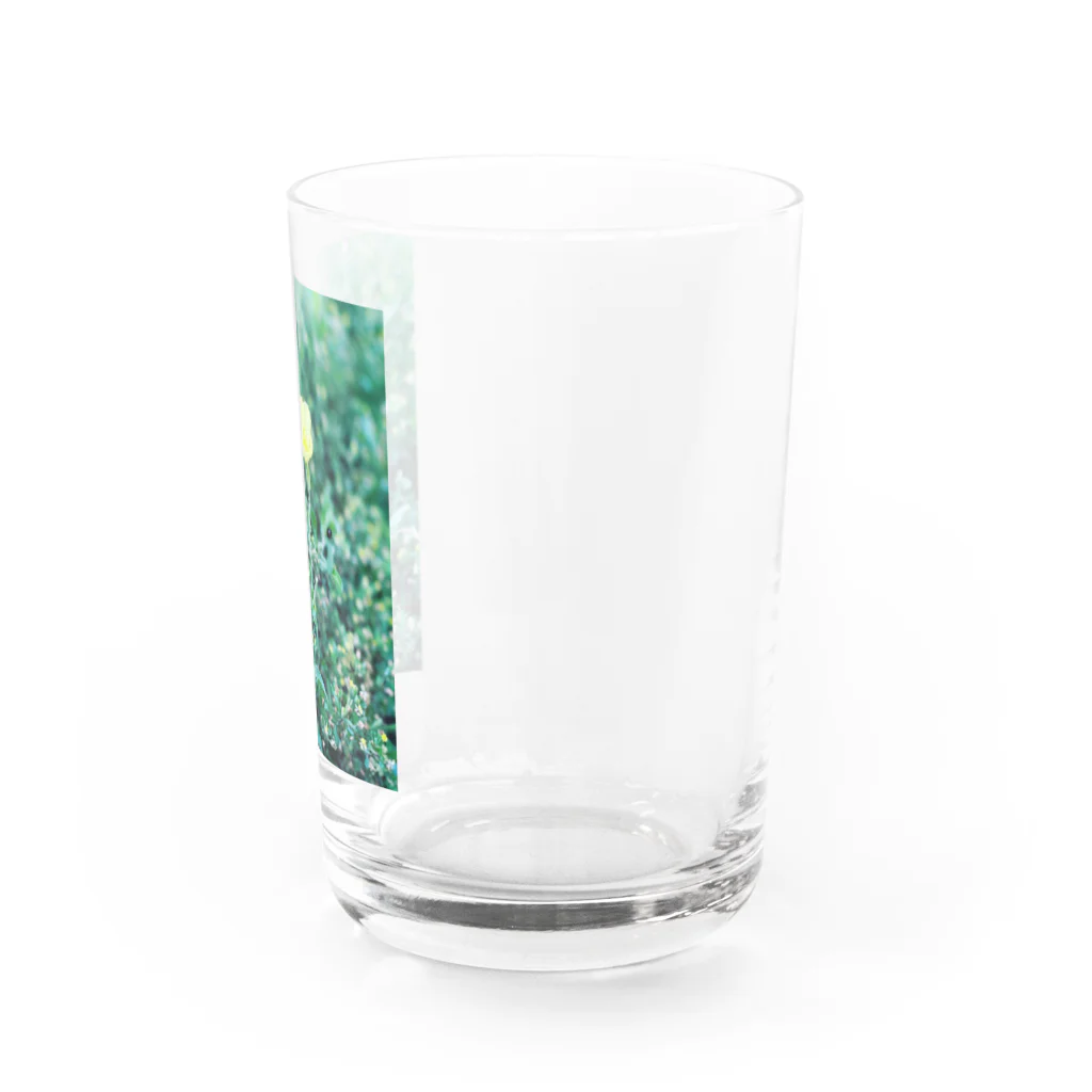 wish&futureの月見草 Water Glass :right