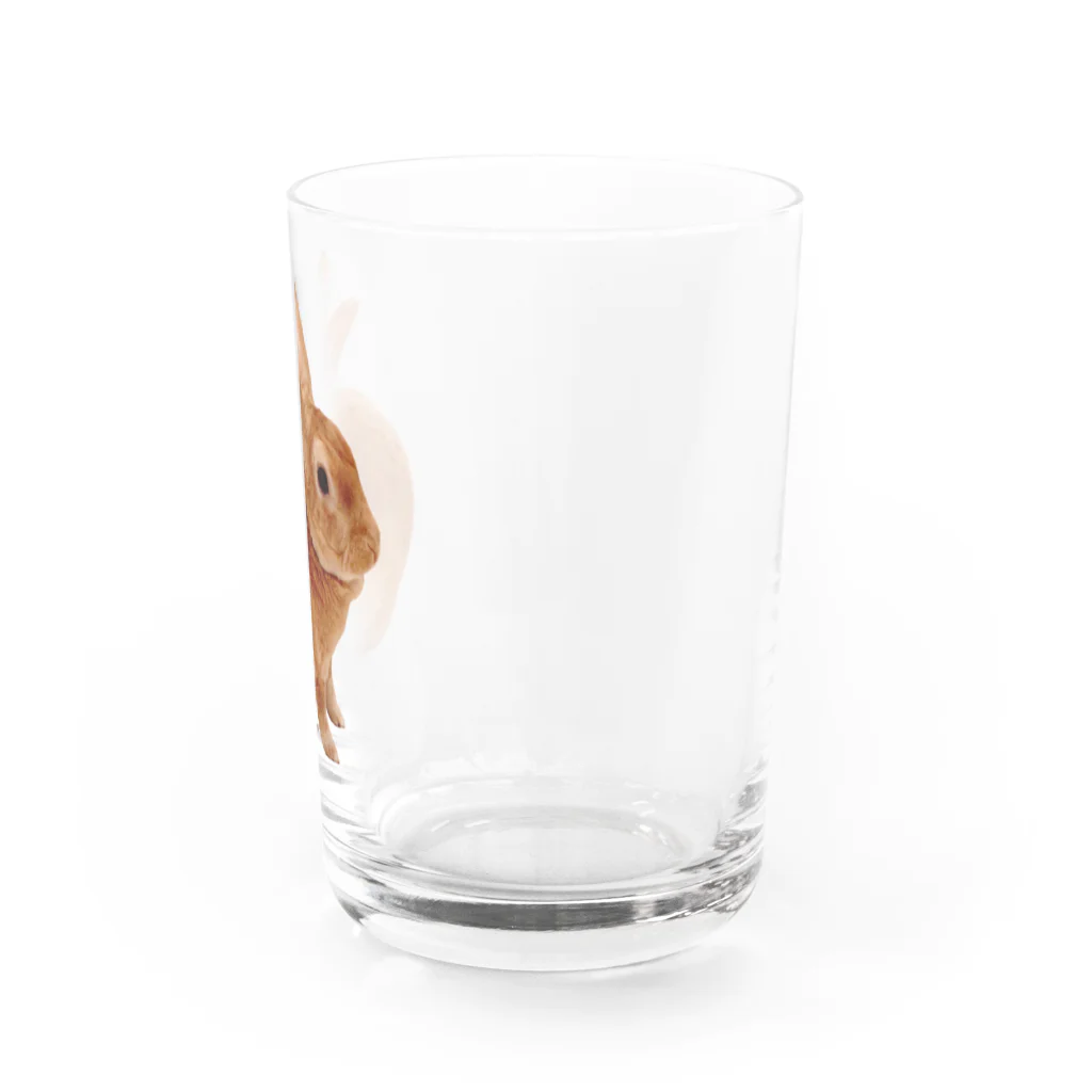 ファッションセンターつぶあんのつぶあん乾杯グラス「R」 Water Glass :right