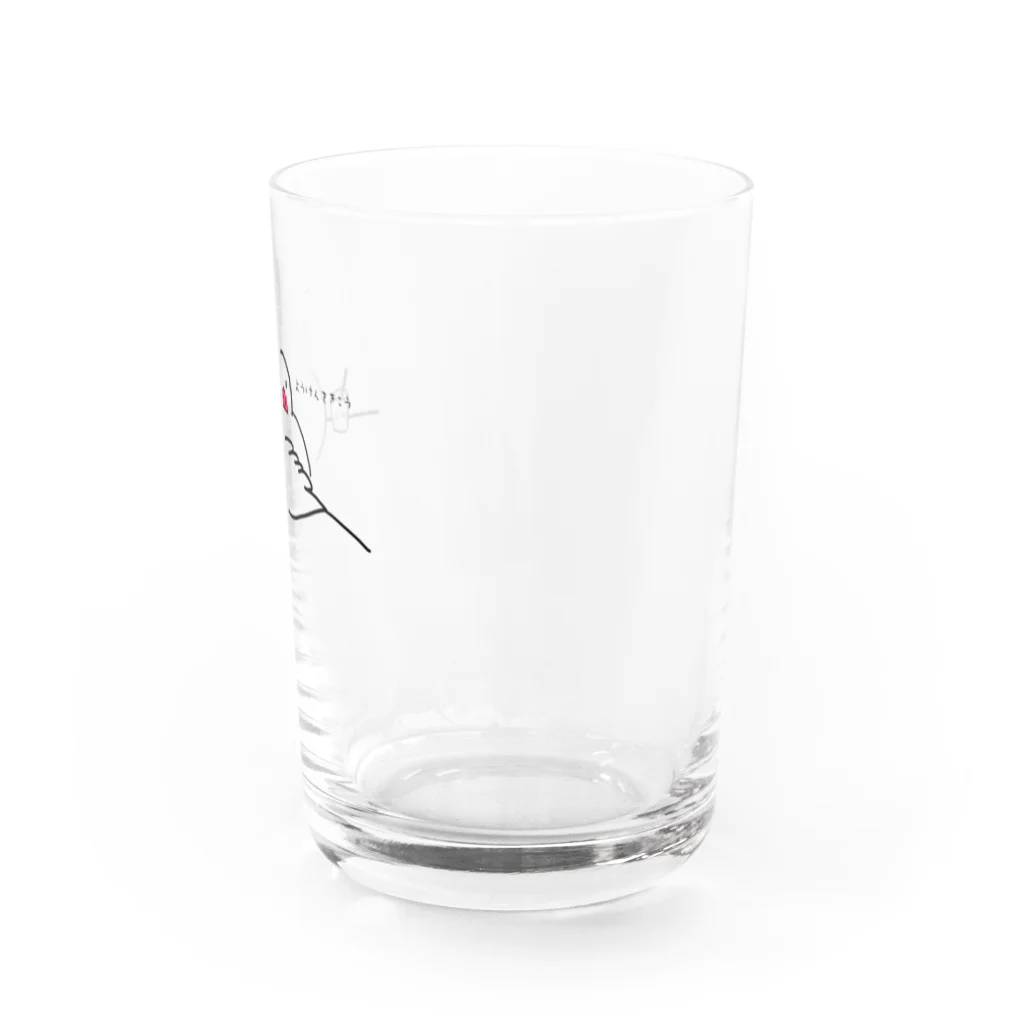 小鳥と映画館の男前な文鳥 Water Glass :right