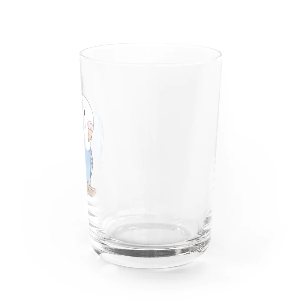 まめるりはことりのおしゃまな止まり木セキセイインコちゃん【まめるりはことり】 Water Glass :right