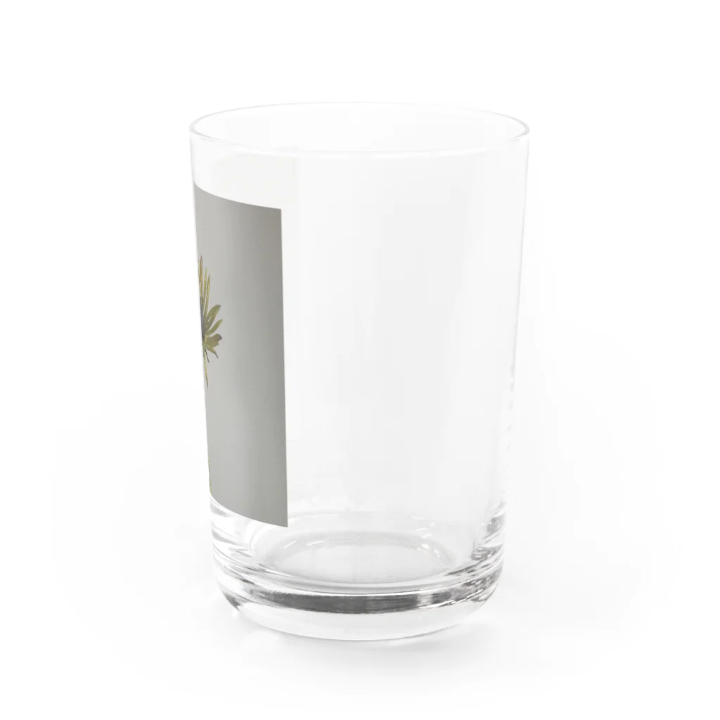 はづきのエレクトラショック Water Glass :right