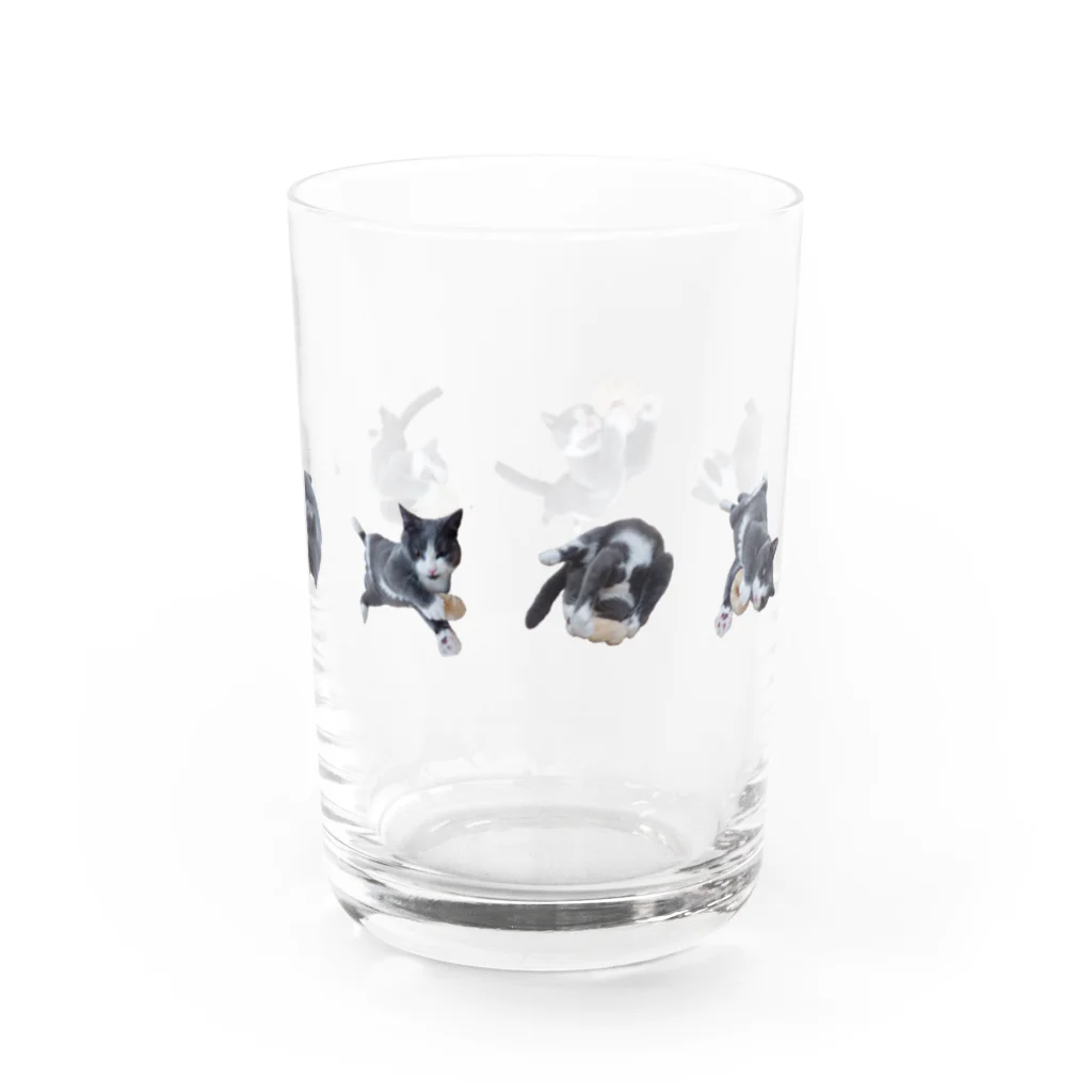 falfalの転がるファルファル01 Water Glass :right