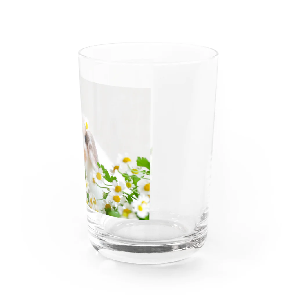 Chouchou Rabiのお花とうさぎ Water Glass :right