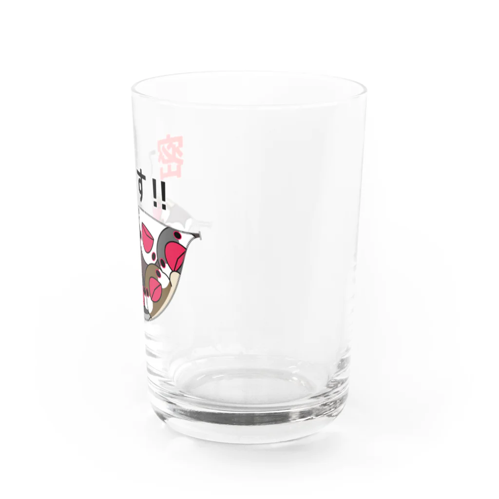 まめるりはことりの密です！文鳥さん【まめるりはことり】 Water Glass :right