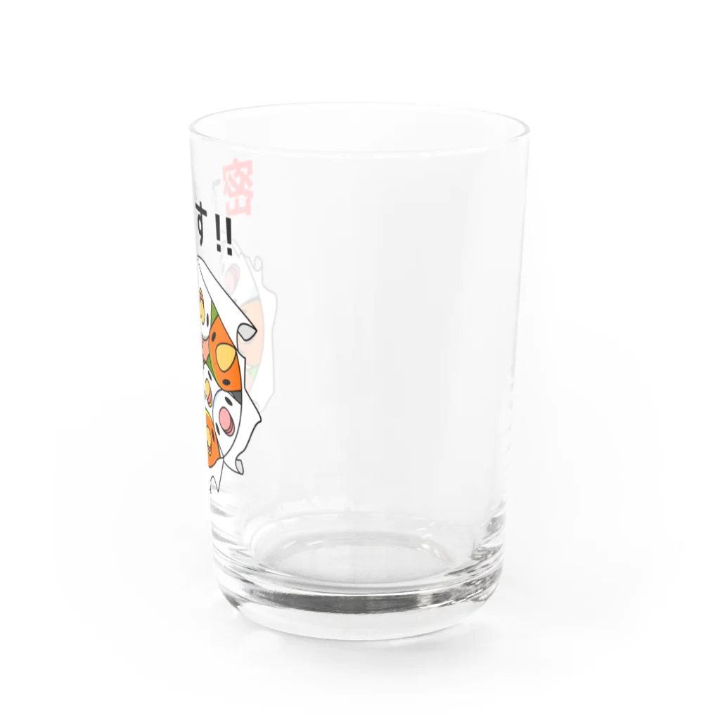 まめるりはことりの密です！コザクラインコさん【まめるりはことり】 Water Glass :right