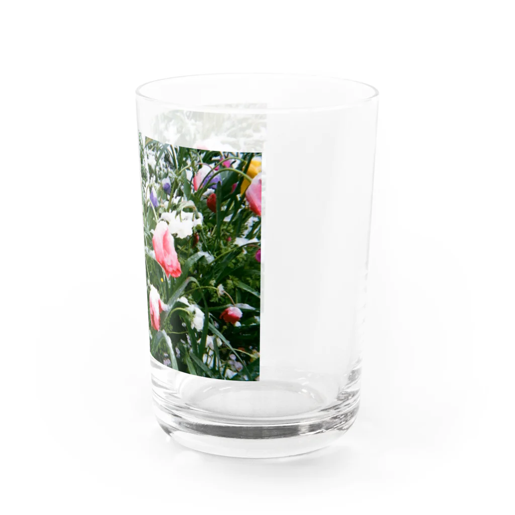yawn shopの雪の花 Water Glass :right