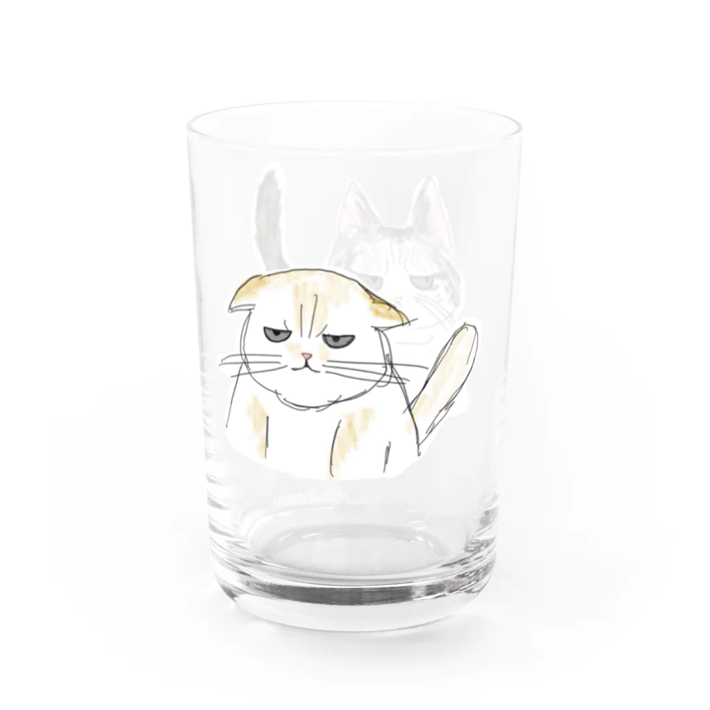 丸太猫のふてぶてしい顔の猫のつがい Water Glass :right