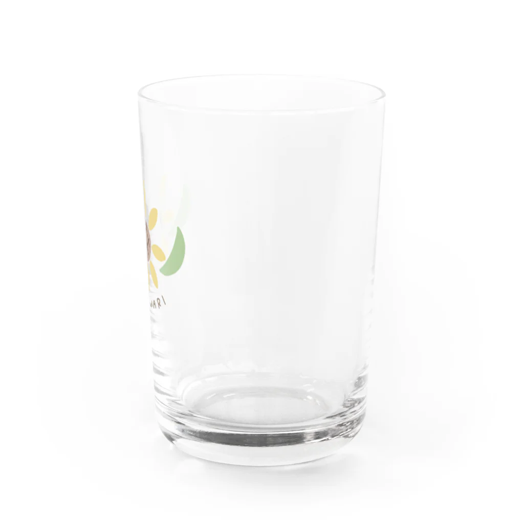 suzuのHIMAWARI Water Glass :right