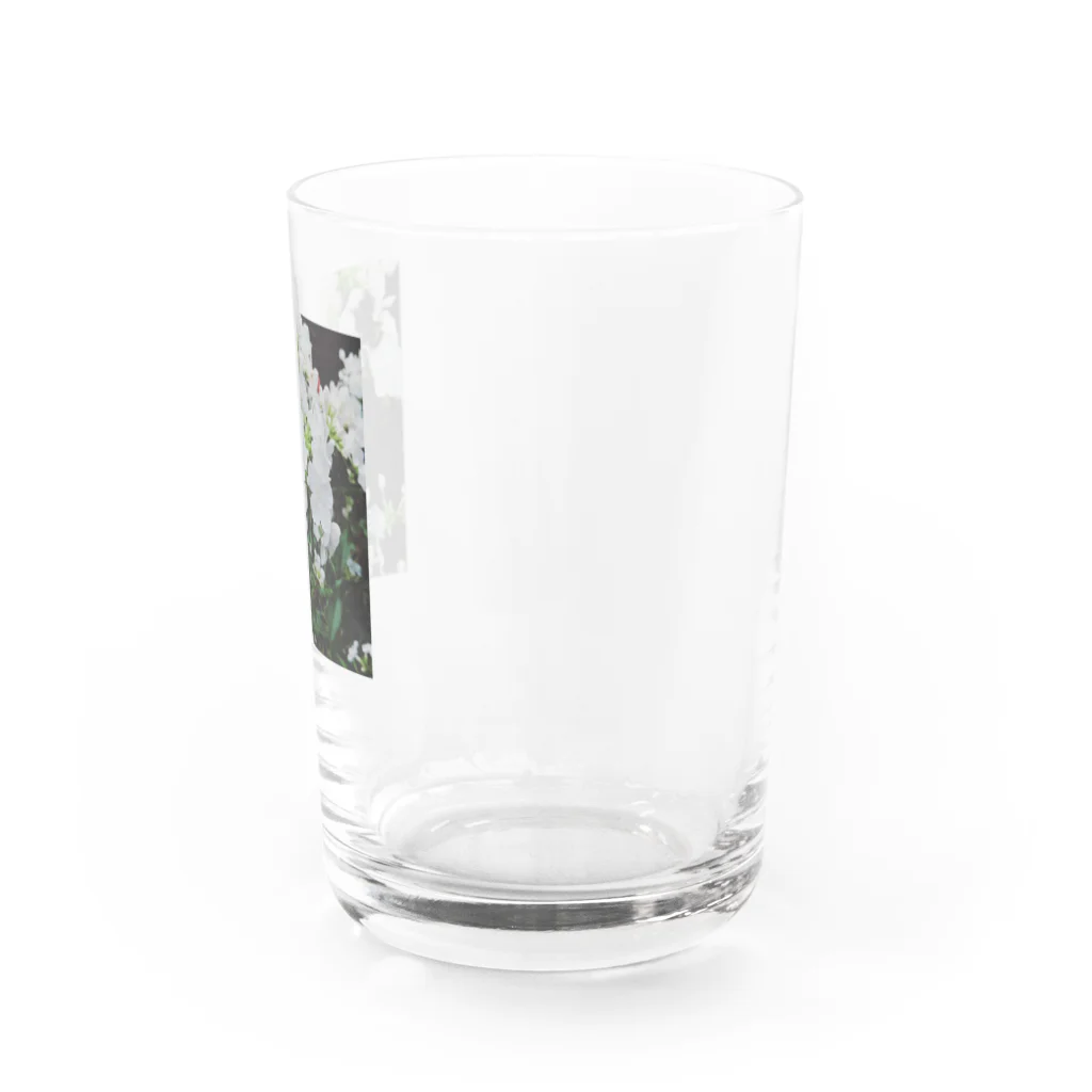 たもつの庭のしろい花 Water Glass :right