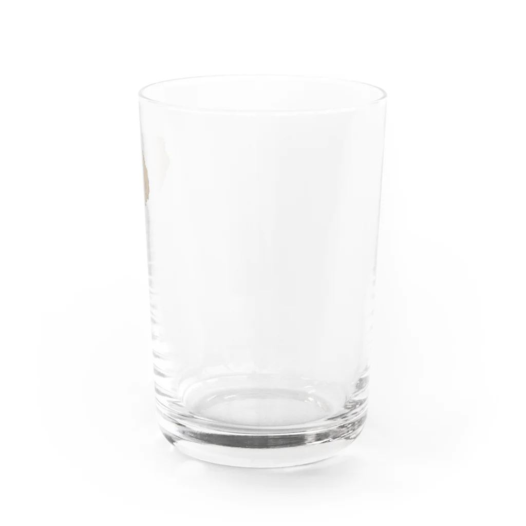ポケットにビスケット🍪のトイプードルのぽめ Water Glass :right