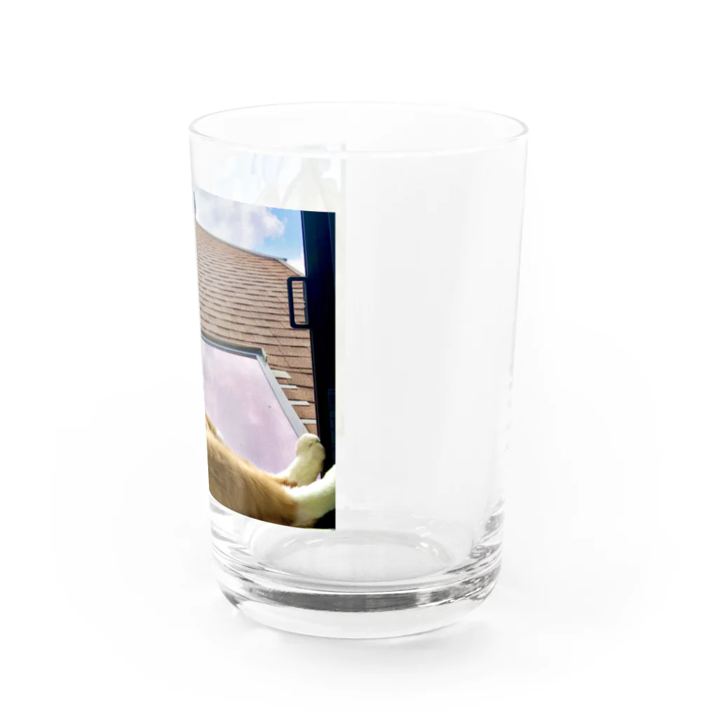 にゃんず笑福邸のにゃんず笑福邸(笑ver) Water Glass :right