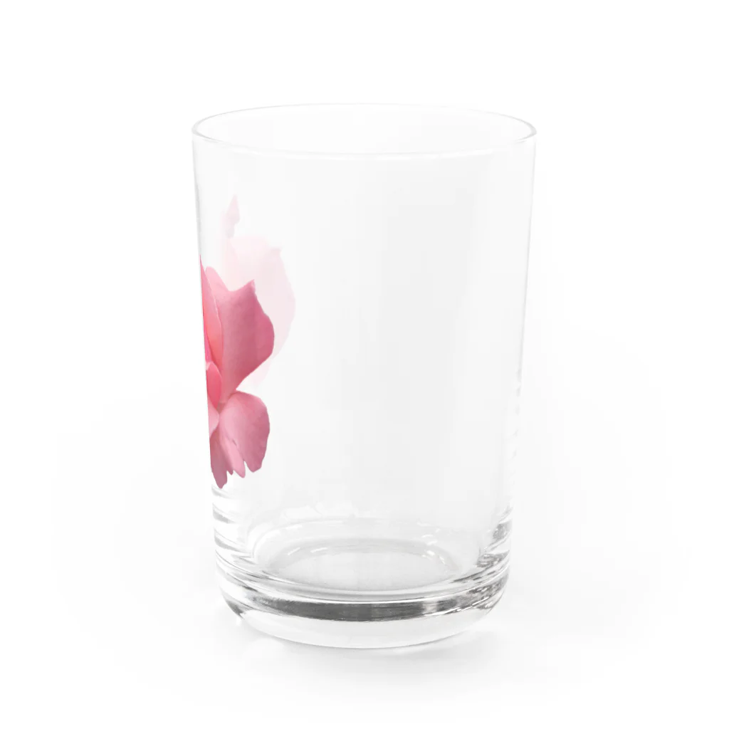 でおきしりぼ子の実験室のThe Rose (Half-blooming) グラス右面
