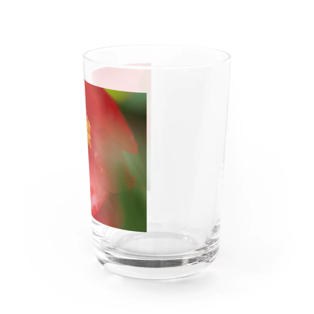 まいしょっぷマイユの赤いベゴニアちゃん Water Glass :right