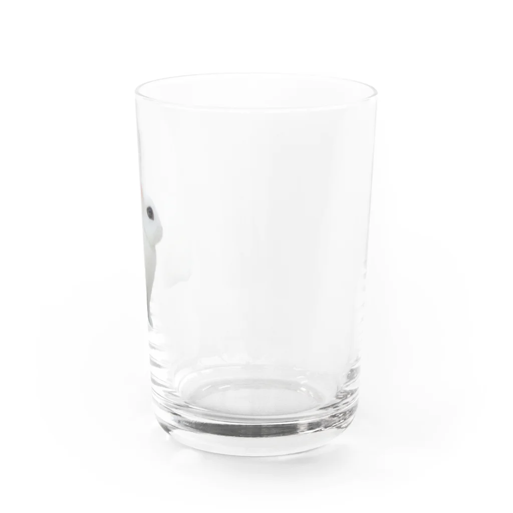 はるさめ商店のよこむきはるさめちゃん Water Glass :right