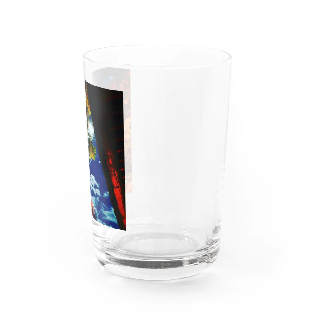 hanemaruyaの紅葉シリーズ Water Glass :right