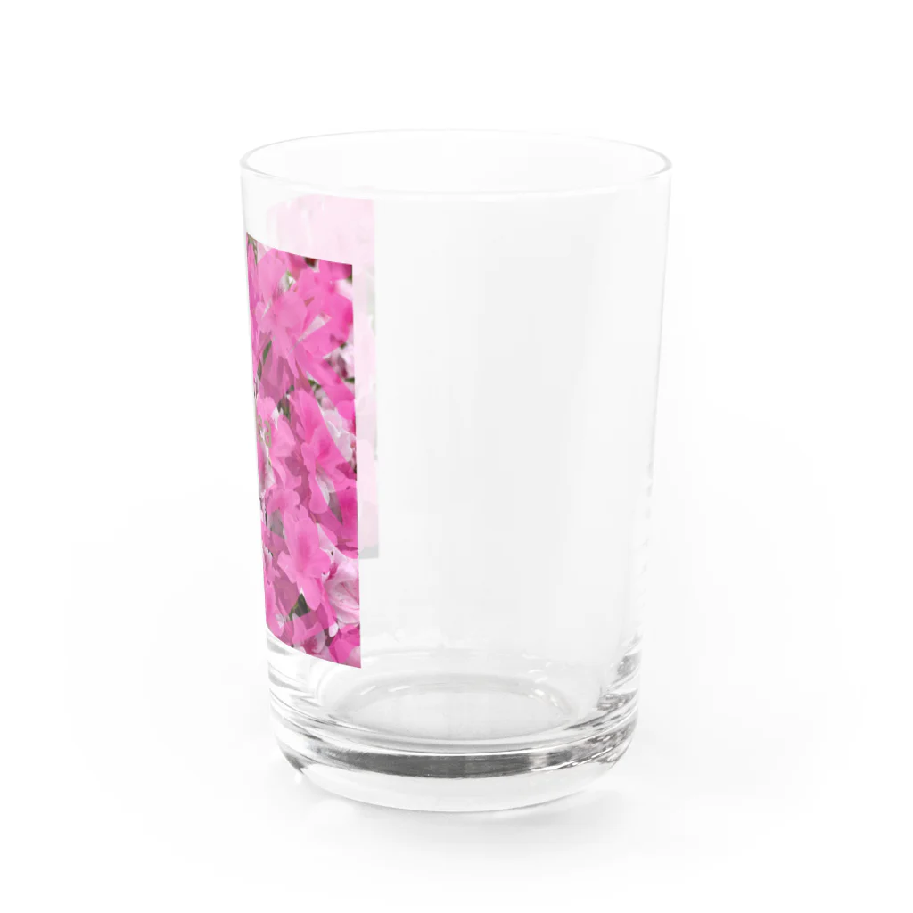 gumiのカモフラージュツツジ Water Glass :right