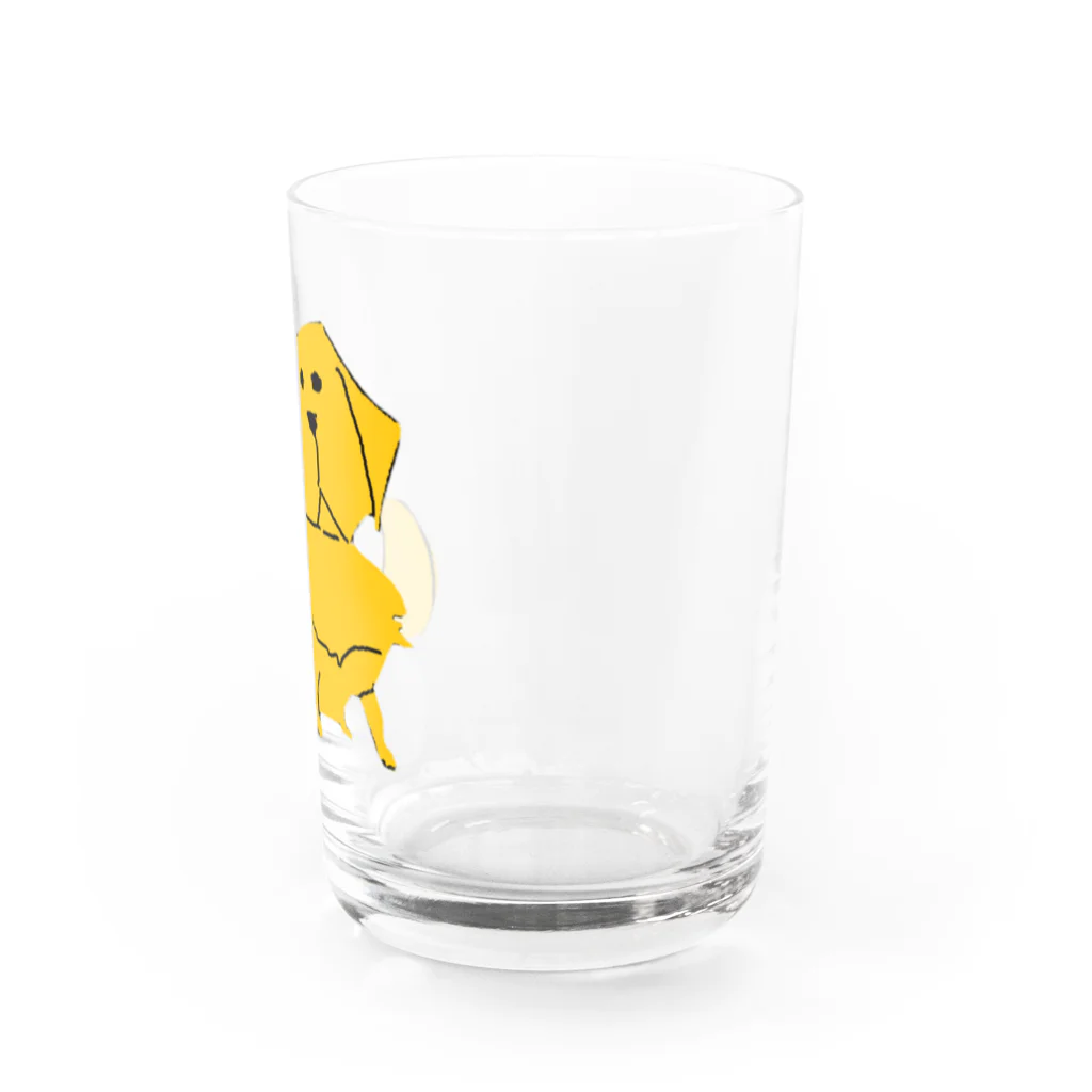 カカオのゴールデンレトリバー　犬 Water Glass :right