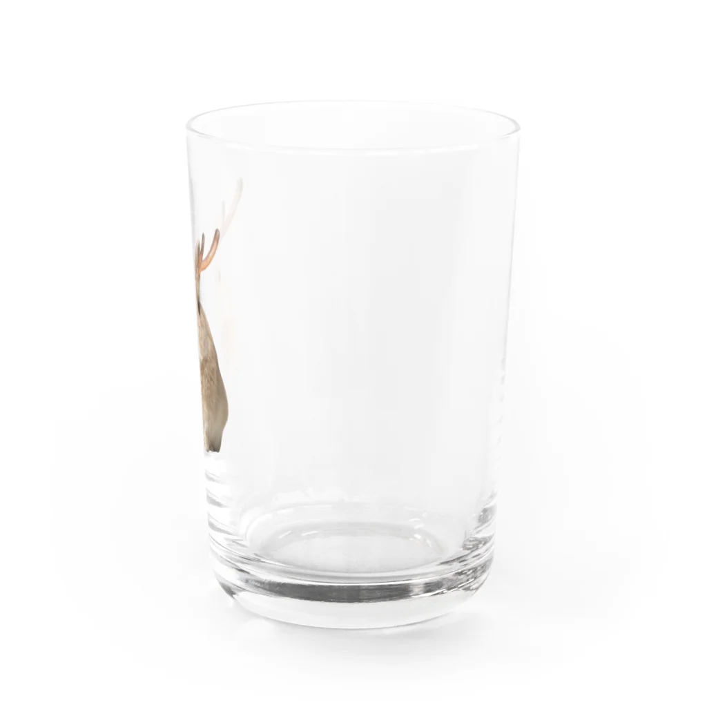 Jackalope HouseのUMA Water Glass :right