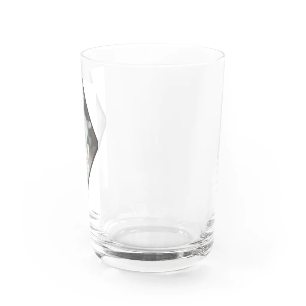 腹出し猫さんが癒しますの腹出しネコさん Water Glass :right