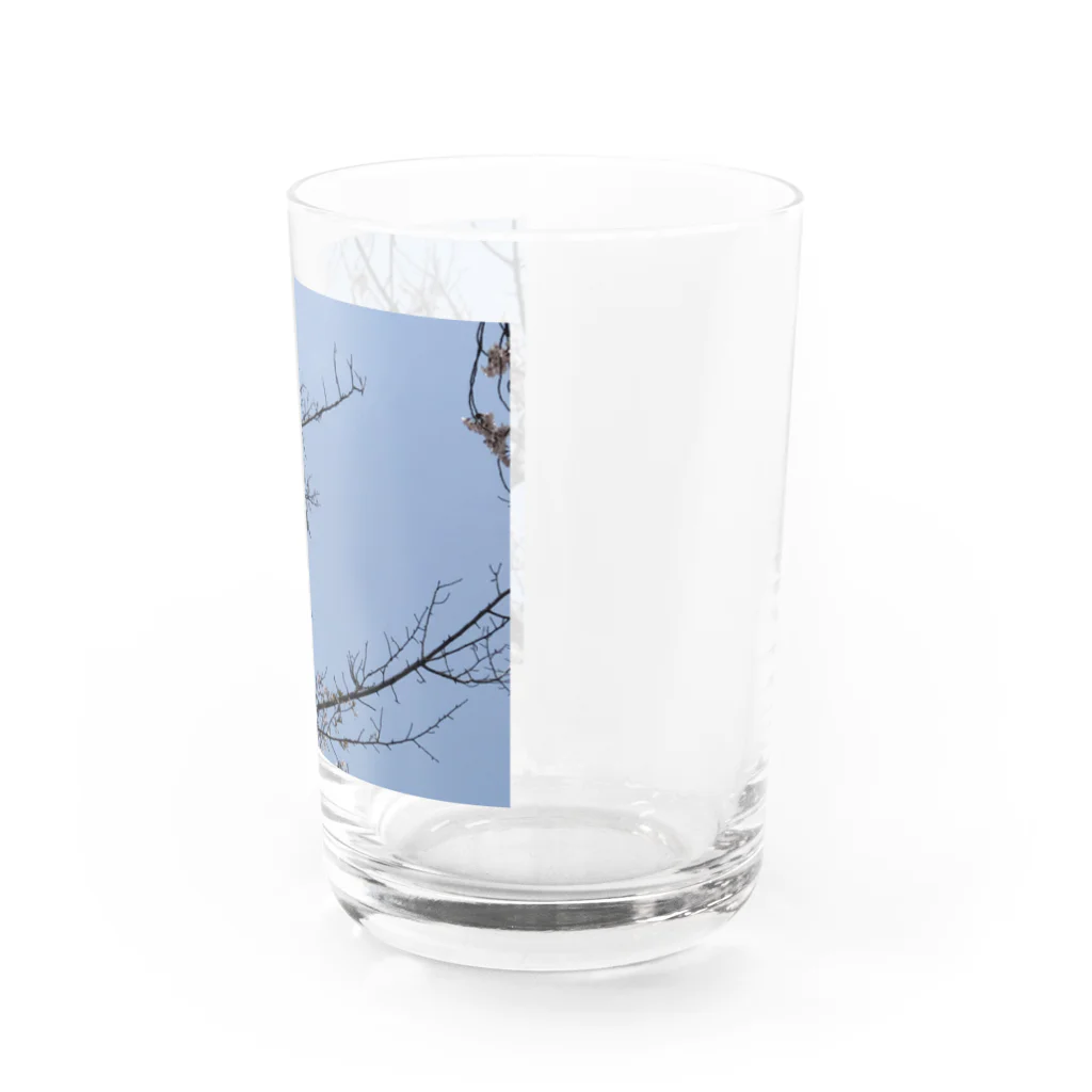 pomwoの飛行機好きなあなたへ Water Glass :right