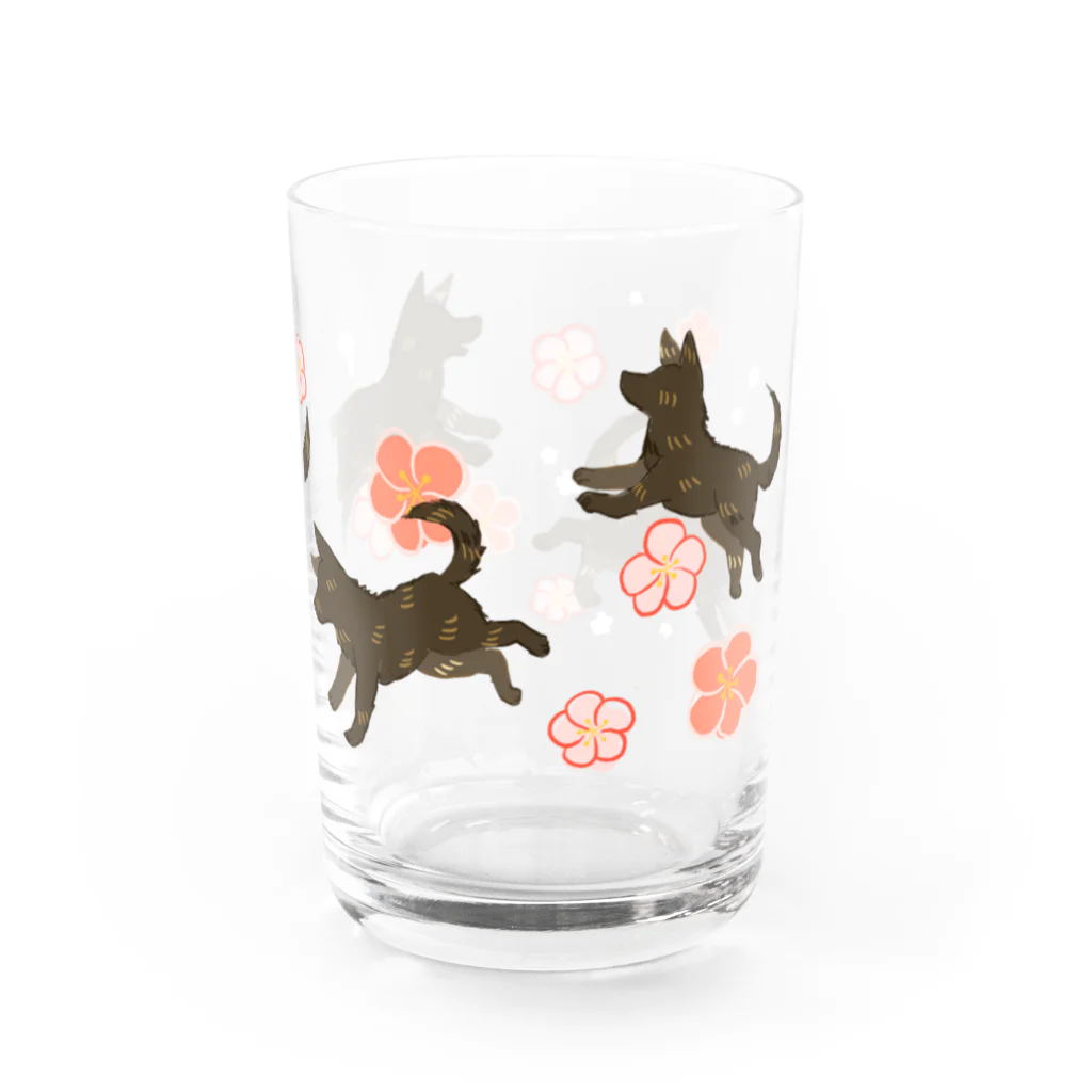 くろげちゃまじりの梅と甲斐犬 Water Glass :right