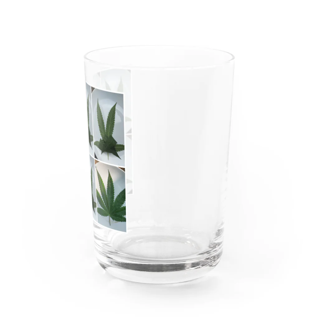 weneedweed1988@(日本人)大麻取締法に挑む。のWe need peace.  Water Glass :right