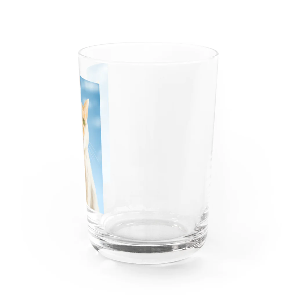 千葉太郎の三毛猫☆長老 Water Glass :right