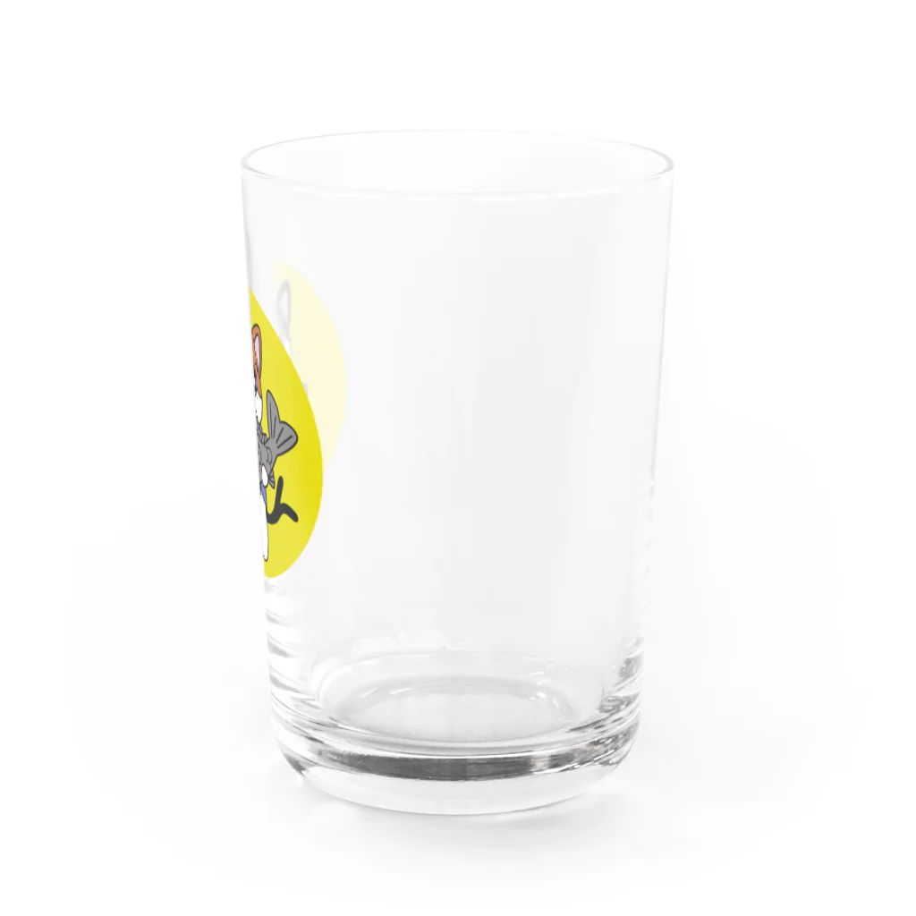 空想兎製造機のミケ　渋みの恋ＭＡＳＴＥＲ Water Glass :right