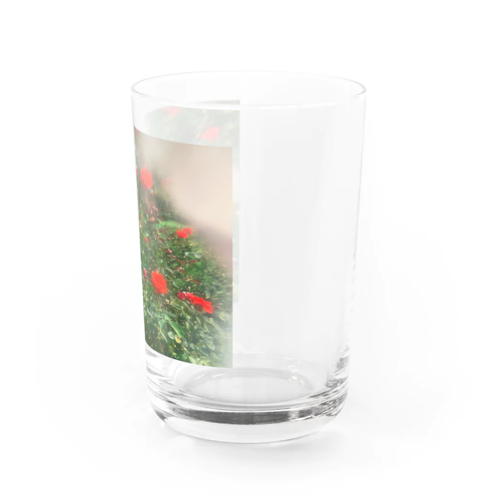 櫻田宗久の新宿の花　薔薇 Water Glass :right