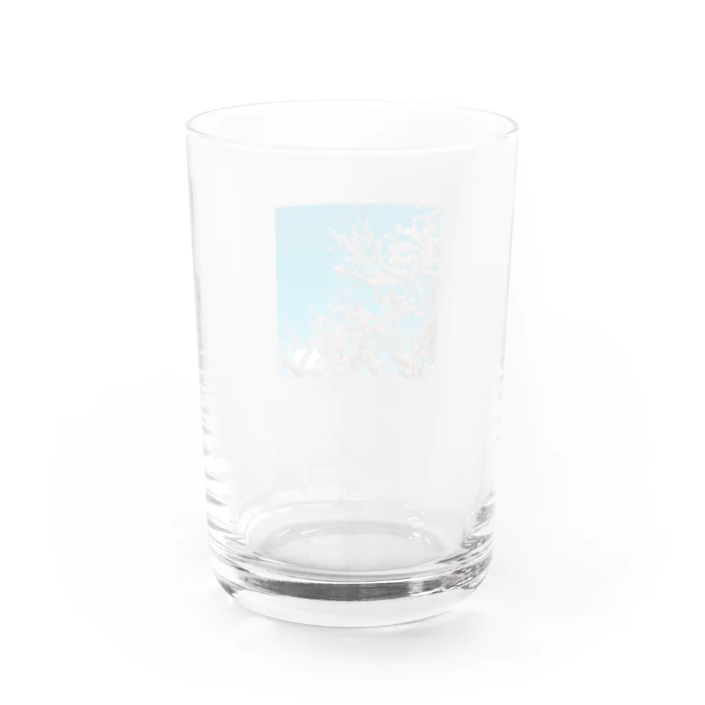 AY SHOPのAY_SAKURA GLASS グラス右面