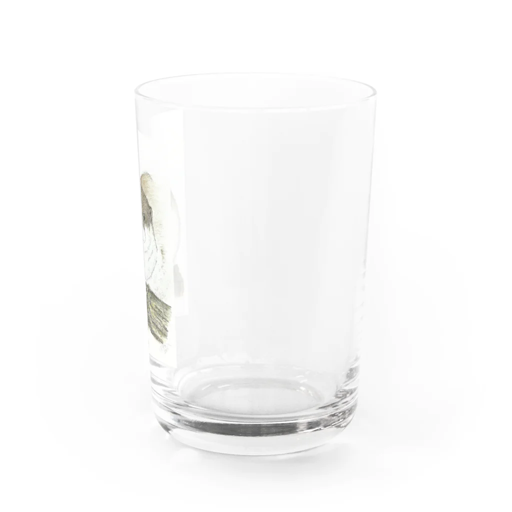 kittoのくつろぎの白ムギュ王子 Water Glass :right