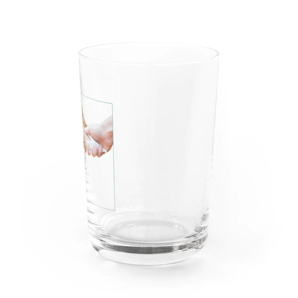 potetoaiの愛す猫 Water Glass :right