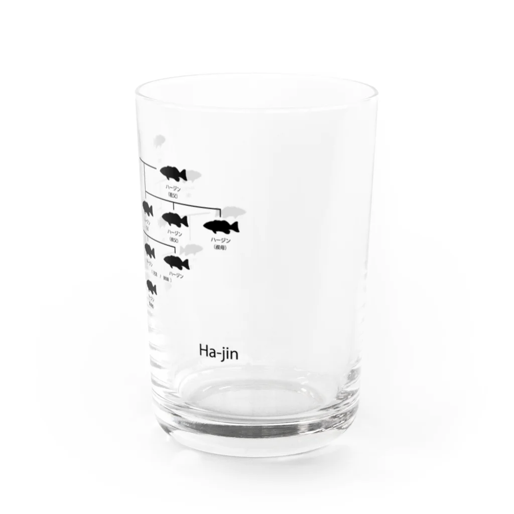 大田デザインのハージンの家系図 Water Glass :right