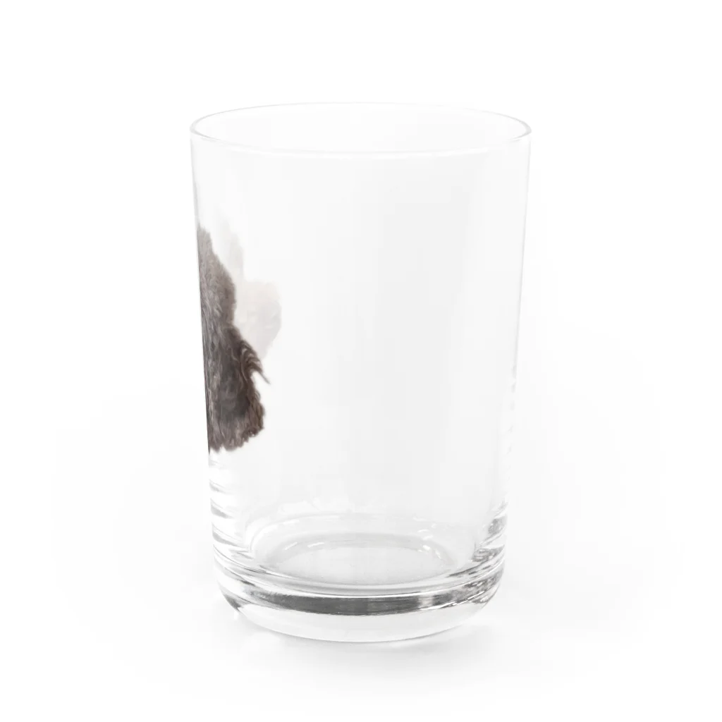 しらたま雑貨店の昴くん Water Glass :right