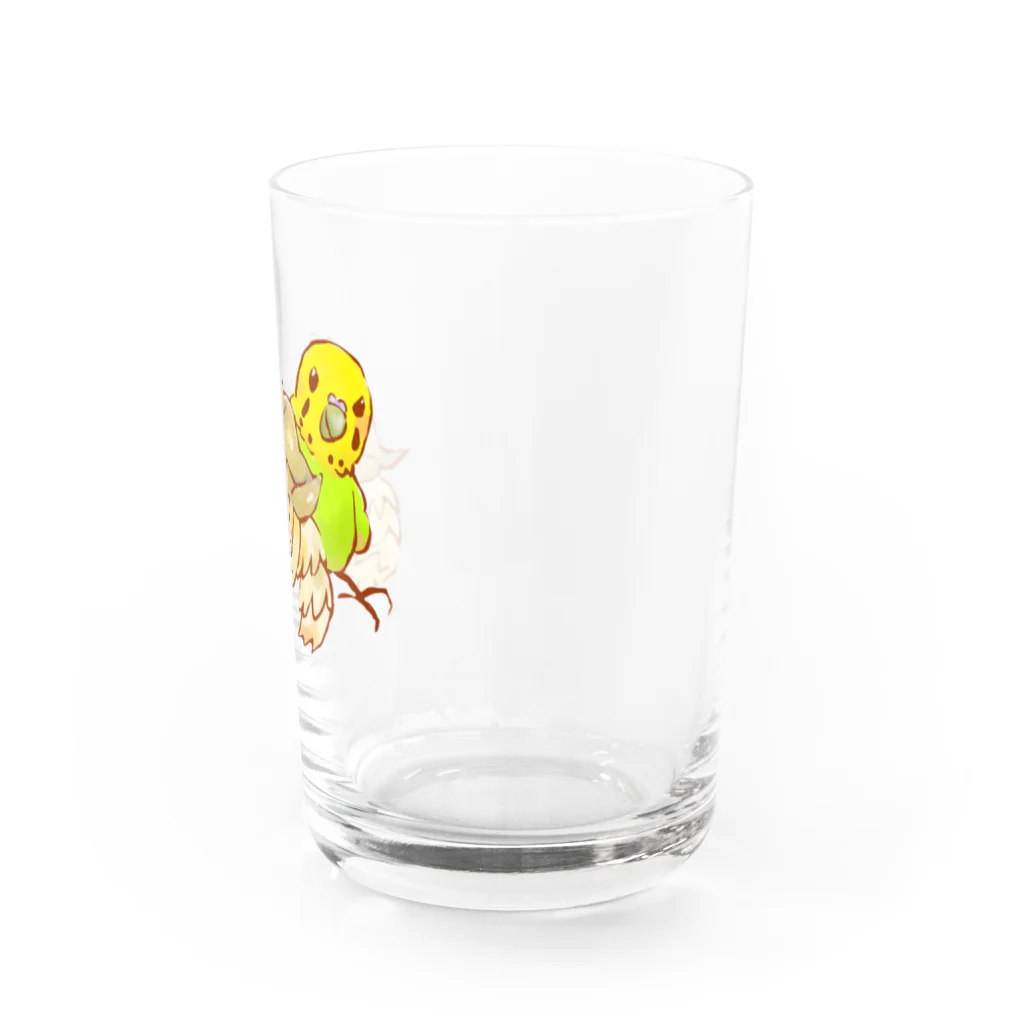 とくとくペット店のケヅメリクガメとセキセイインコ Water Glass :right