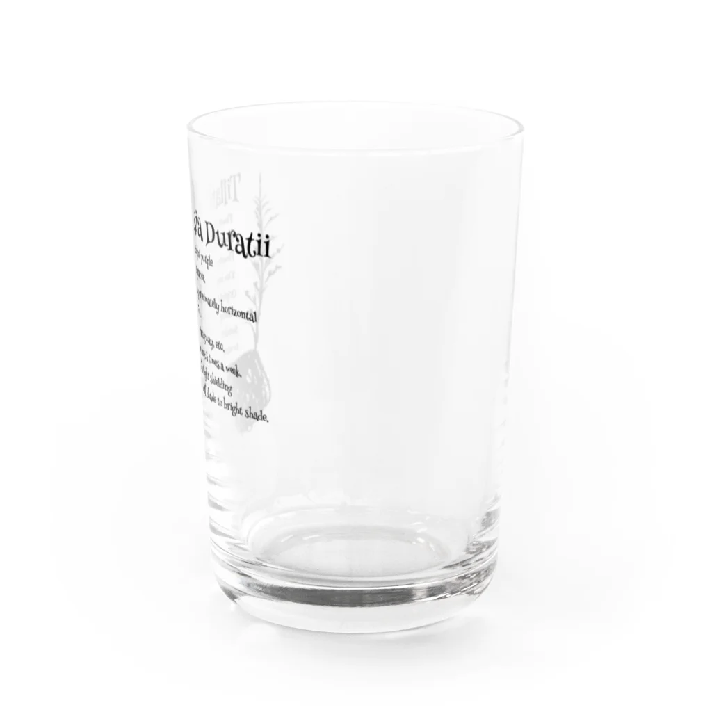 Otowaのドゥラティー小物 Water Glass :right