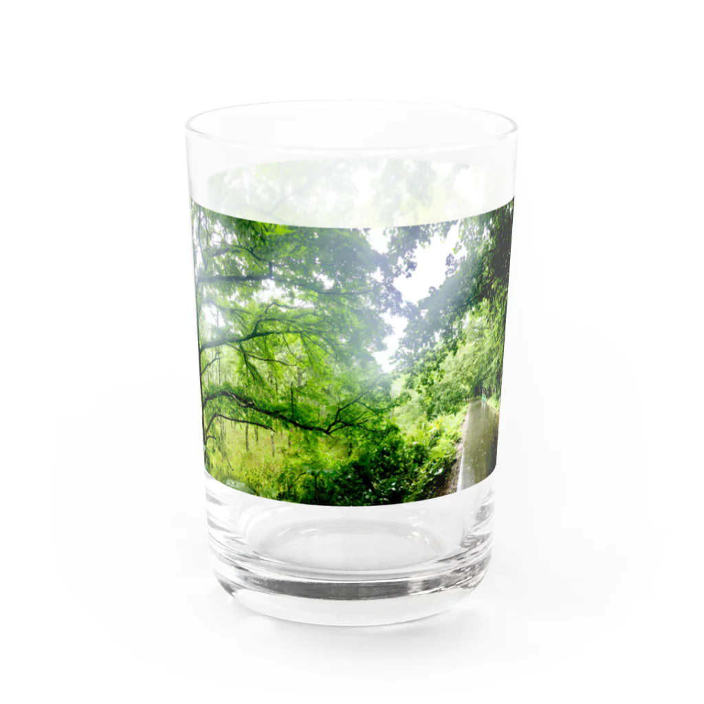 42のイタルの森のパノラマフォトグラフィック Water Glass :right