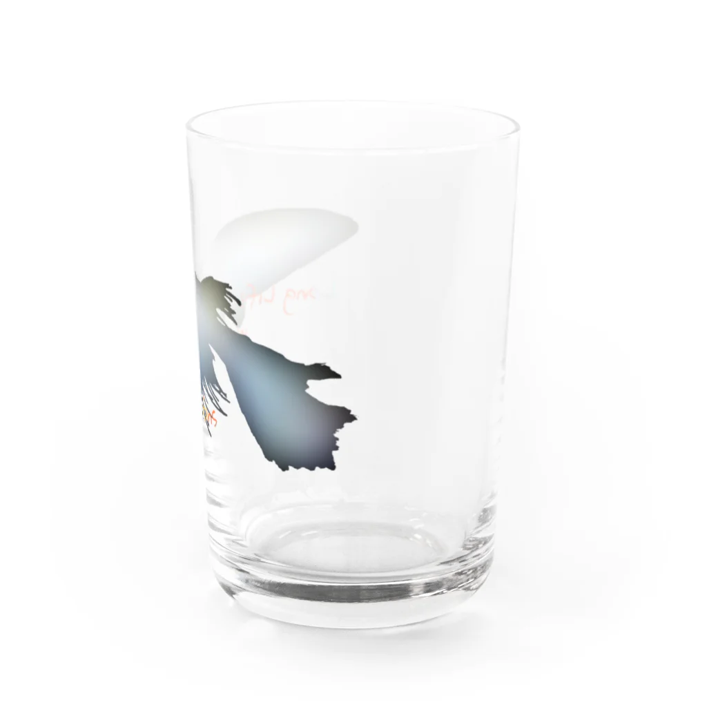 ろみの"@"長いヒレの長い生活(メダカ) Water Glass :right