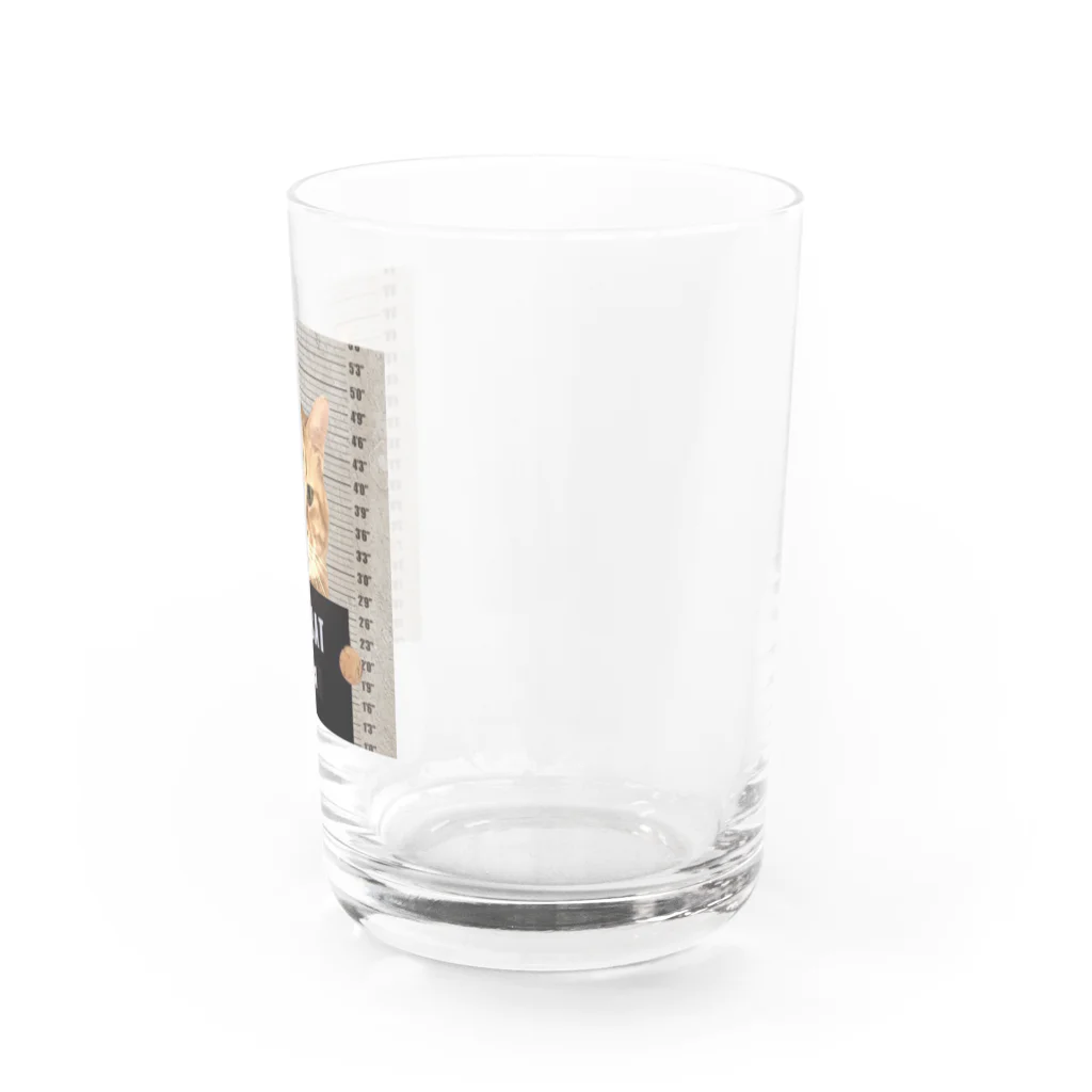 白と茶色屋の囚人番号788 Water Glass :right