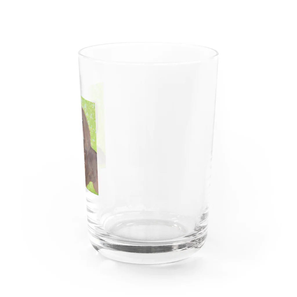 色々なキャバリアちゃんの油絵キャバリア Water Glass :right