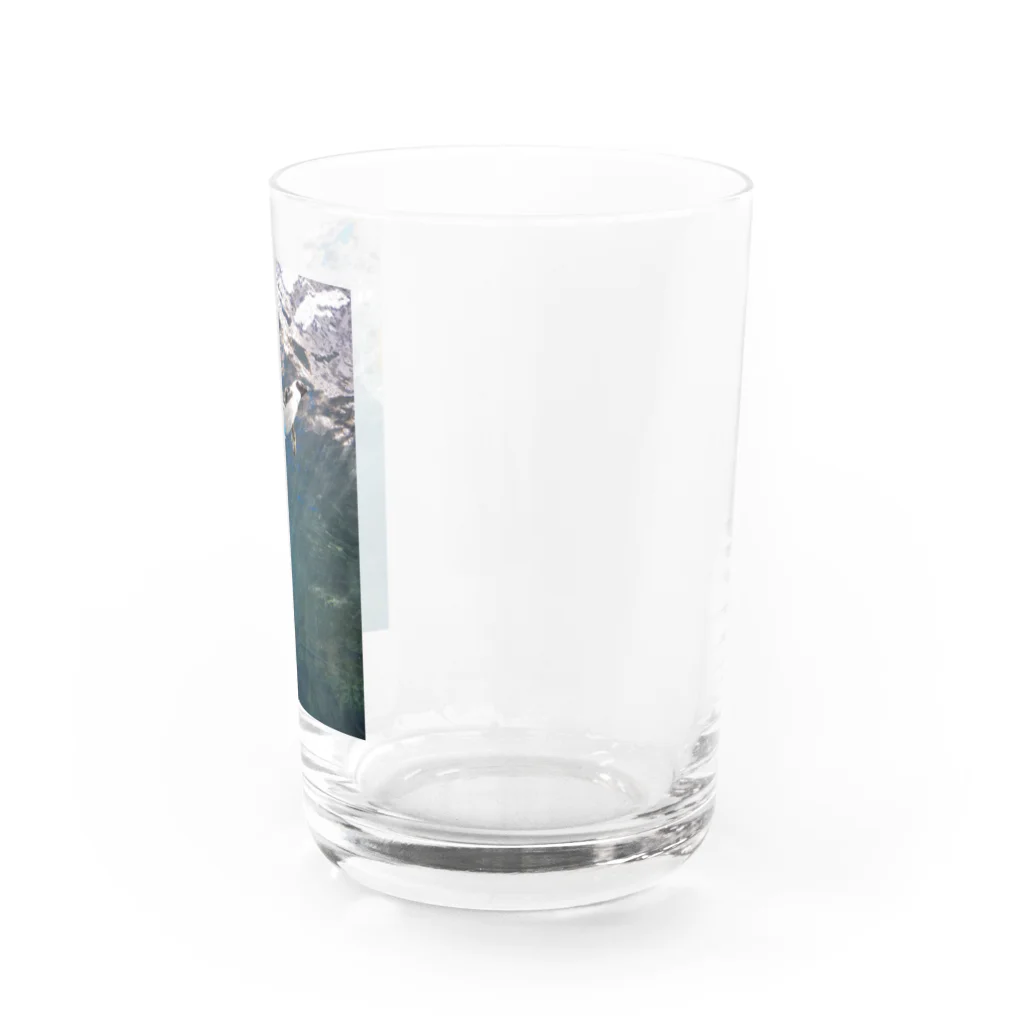 COCO+の空飛ぶペンギン Water Glass :right