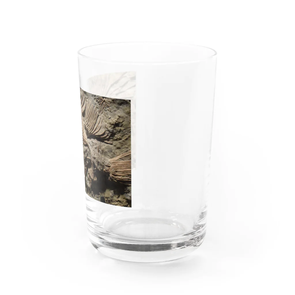 神田🅙のカクトクリヌス Water Glass :right