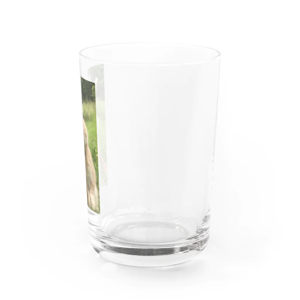 2kazu_5のうたっち　らび太 Water Glass :right