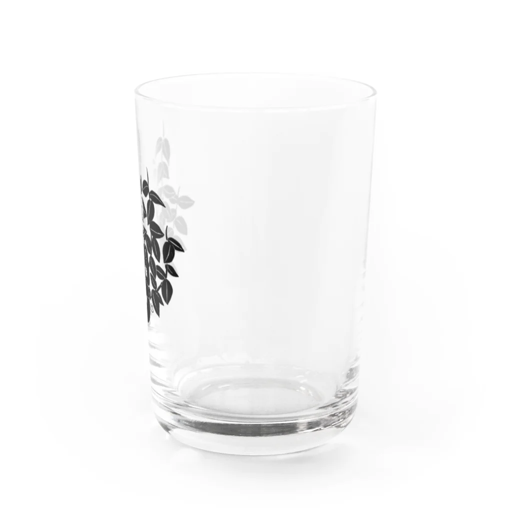 【Botanica】 の領域S Water Glass :right