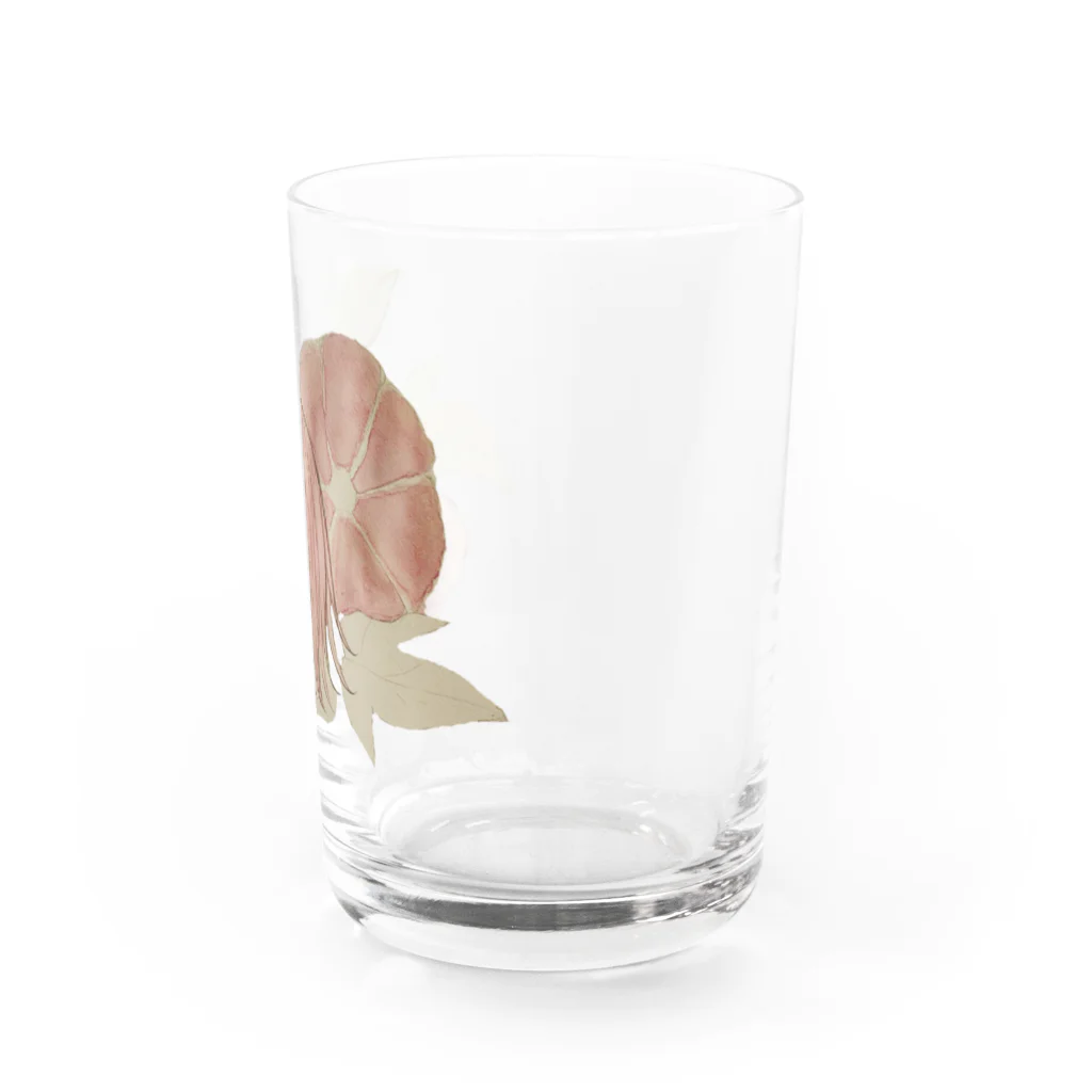 中西屋(歯車)の乙女朝顔(暁の紅) Water Glass :right