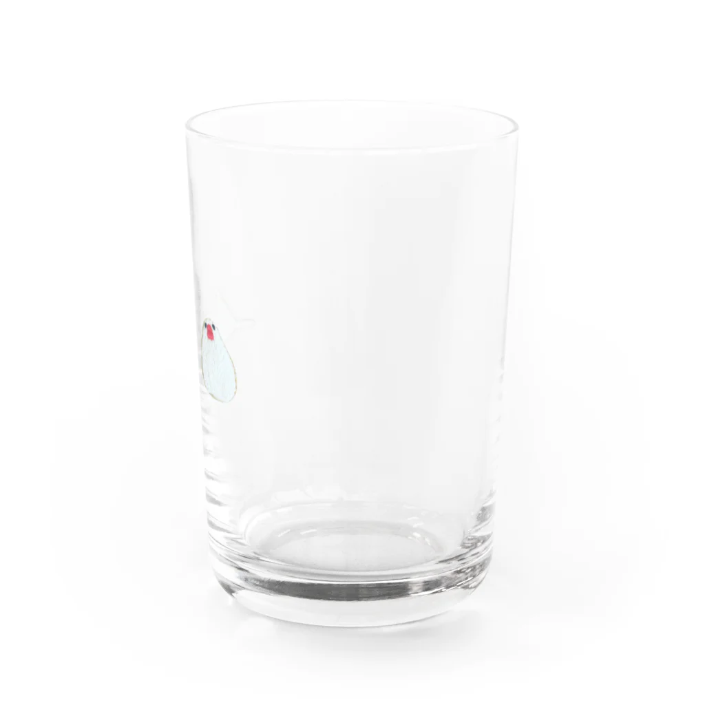 ソラマメのしろぶん(白文鳥) Water Glass :right