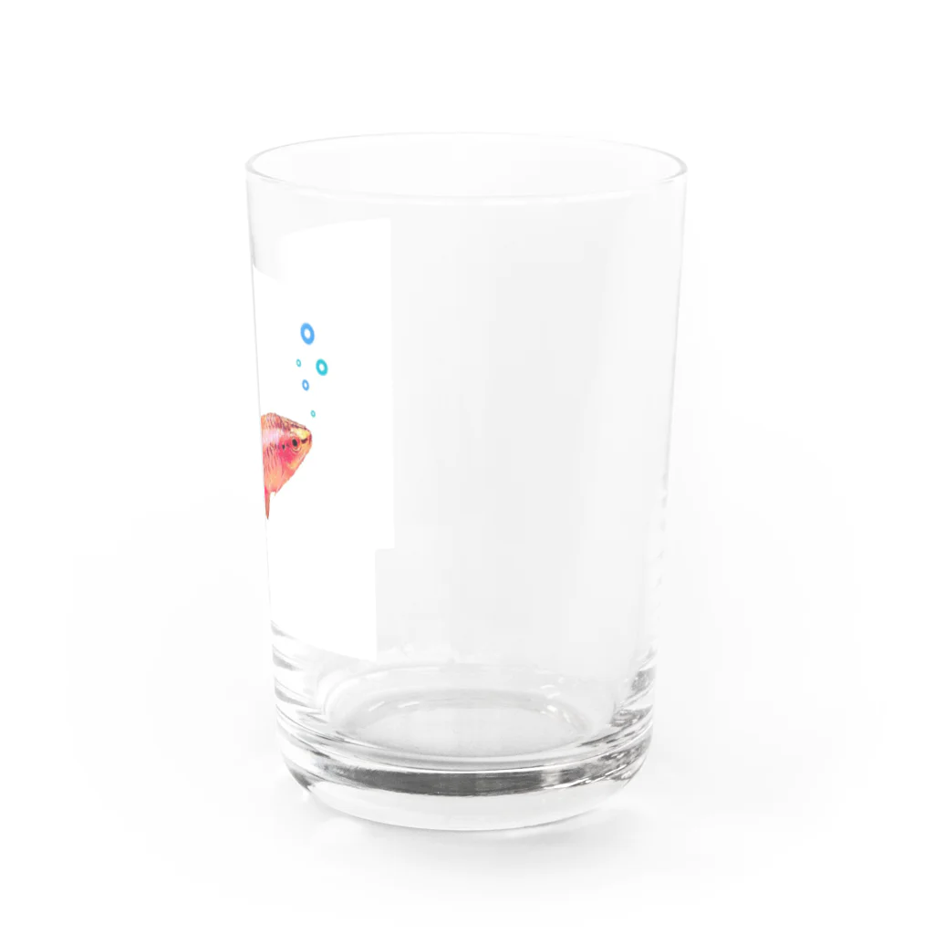 ぱすた ハンドメイド雑貨の赤いお魚 Water Glass :right