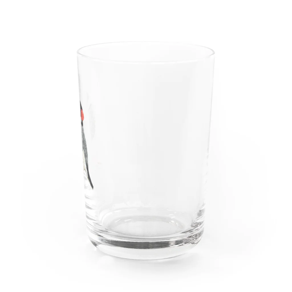 ソラマメの文鳥のぶんちょ Water Glass :right